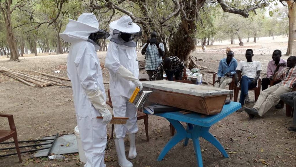 Danida project: beekeeping for sustainable growth in Uganda